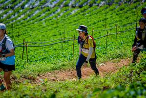 BIB: 
                            <button type="button" onclick="openModal(19164684)" class="btn btn-primary btn-sm float-right btn-popup" data-toggle="modal" data-target=".modal-high-quality">
                        <i class="fas fa-shopping-cart"></i> Add to Cart
                    </button>
                                            <button type="button" onclick="isThisMe(19164684, true)" class="btn btn-success btn-sm float-right btn-popup btn-isme hidden" data-toggle="tooltip" data-placement="bottom" title="นี่คือรูปของคุณใช่ไหม คลิกที่นี่เพื่อเอาเข้าอัลบั้ม">
                        <i class="fas fa-plus"></i> Add to album
                    </button>
                    <button type="button" onclick="isThisMe(19164684, false)" class="btn btn-warning btn-sm float-right btn-popup btn-isnotme hidden">
                        <i class="fas fa-ban"></i> Remove from album
                    </button>